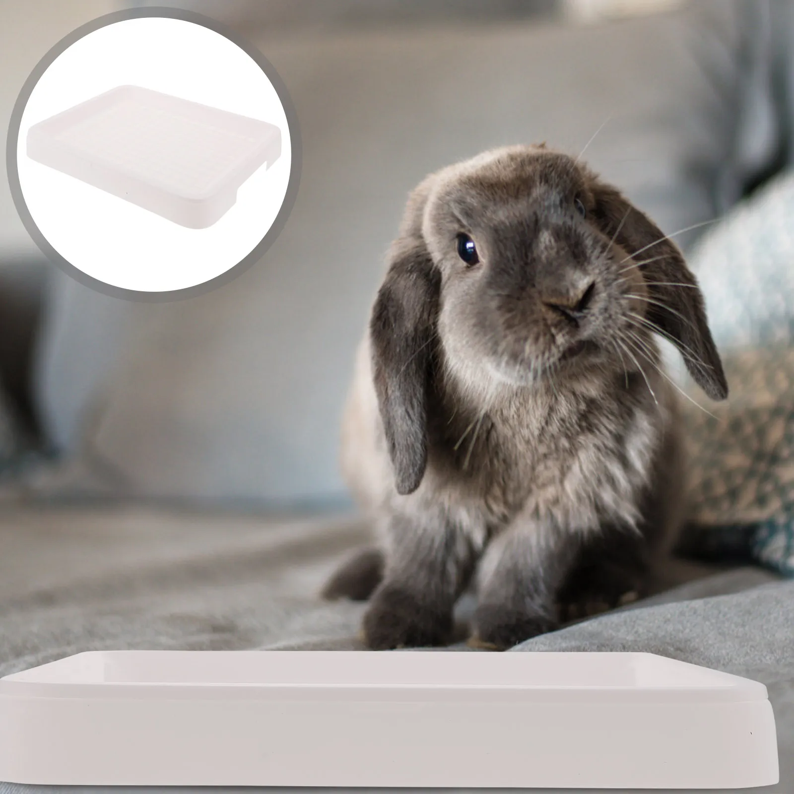 

Rabbit Litter Box Rectangular Large Space Anti-Fall Pet Toilet For Small Rabbits Guinea Pigs Bunny Training Potty