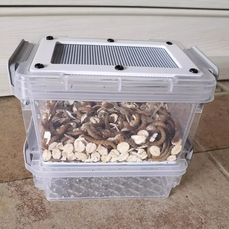 Caja de Alimentación para Gusanos de la Harina, Terrario Transpirable de Escritorio con Filtro, Mini Caja para Insectos Domésticos, Caja de Observación de Insectos