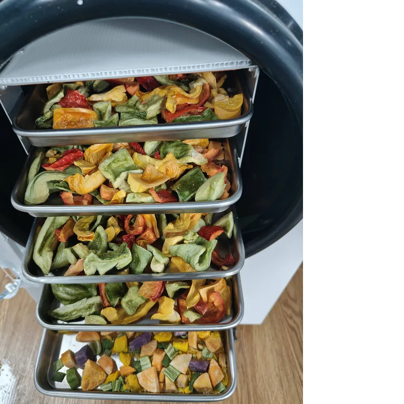 

Сушильная машина DALLE Home Commercial Small Dryer Vacuum Lyophilizer для сублимационной сушки продуктов, фруктов и овощей