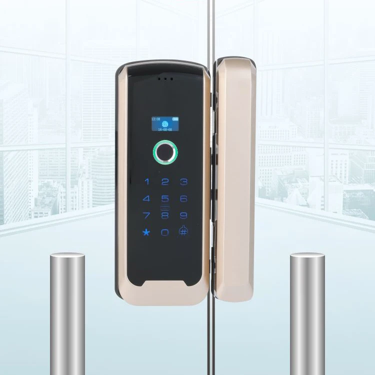 

Smart Glass Door Biometric Fingerprint Lock RFID Card Code Remote Control Phone App Wifi Tuya Office Electric Lock Sliding Door