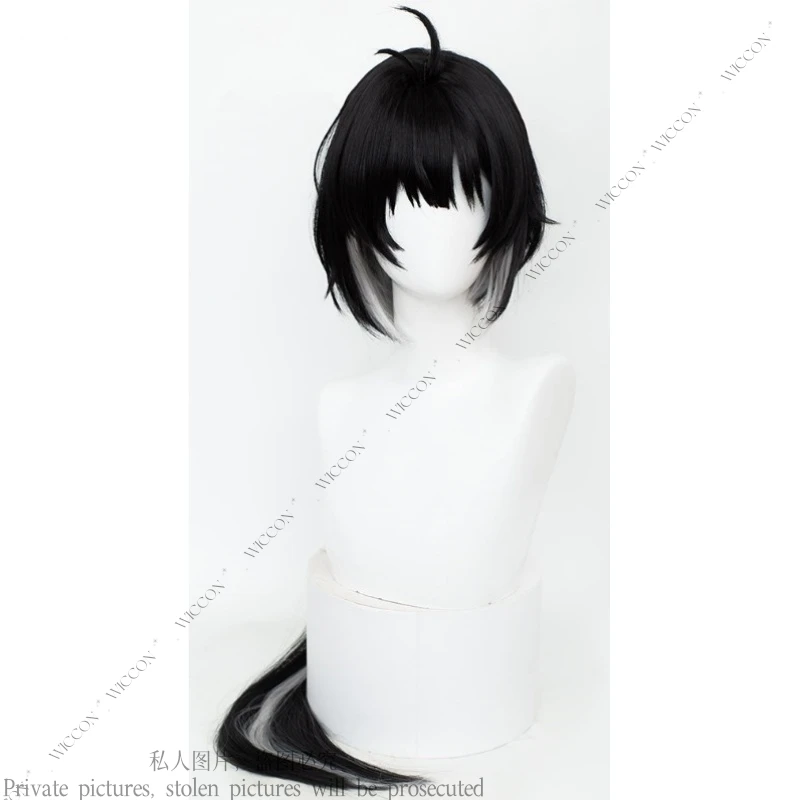 Wuthering Waves Lingyang Jiyan Rover Chixia Sanhua Cosplay Wig Only Wuthering Waves New Game Role Play Woman Man Halloween