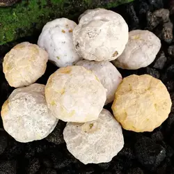 20-200g Natural Unopened Agate Geode Raw Energy Healing Rough Stones Crystal Crystals Mineral Cluster Cave Specimen