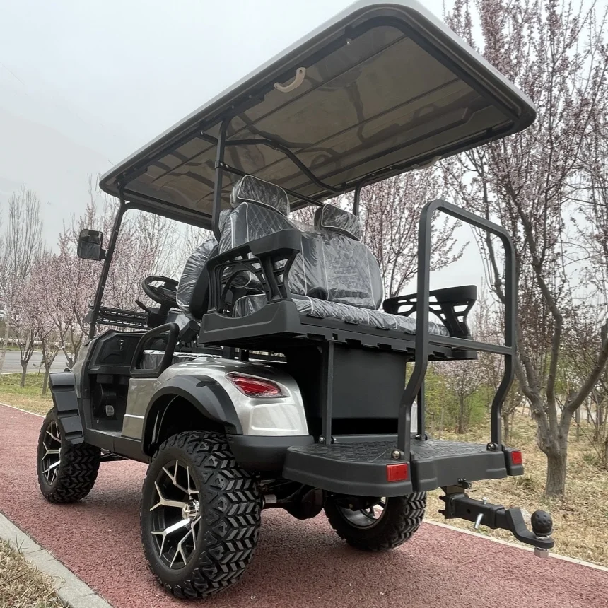 

High Performance Cheap Golf Cart 2 4 6 8 Seater 60V 72V 4000/5000/7000W Off Road Electric Golf Cart Multi-Color Light Flashing