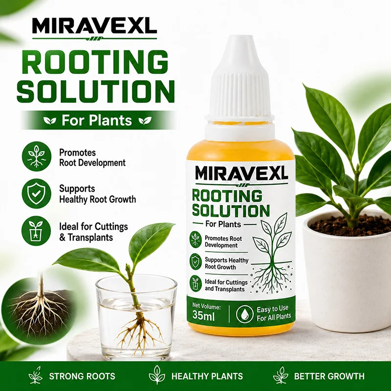 MIRAVEXL Wurzelwachstumslösung 35ml IBA Hormon-Tropfen für Stecklinge - Wirkt in Wasser, Erde, LECA für Monstera, Pothos, Philodendron – Detail 3
