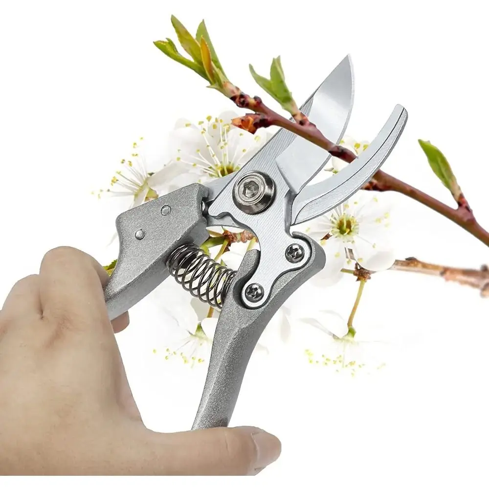 Cesoie da potatura in acciaio di alta qualità Cesoie Potatore resistente alla ruggine Impugnatura comoda Attrezzi per orticoltura Cesoie da giardino Albero