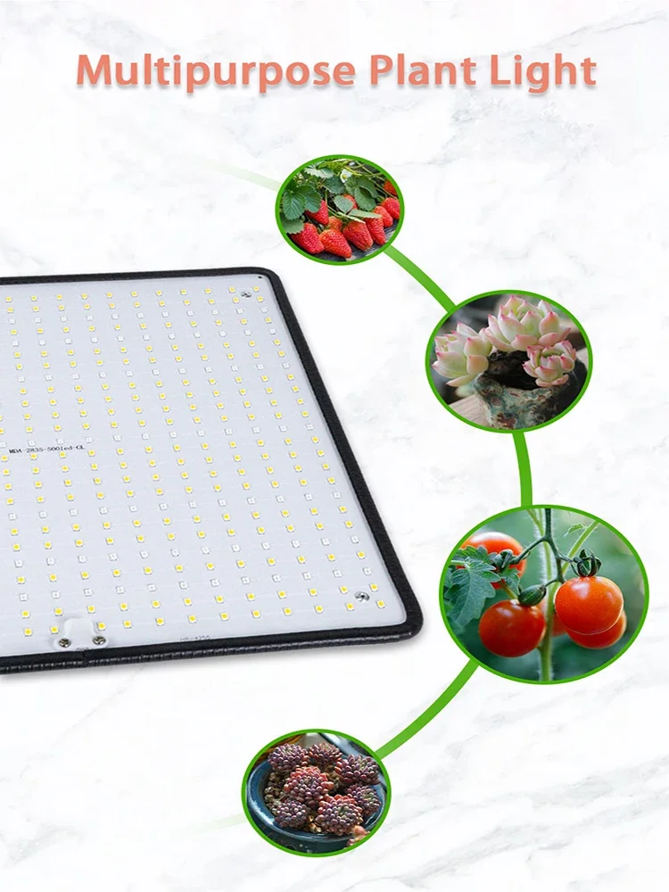 Imagem -05 - Led Samsung Grow Light para Plantas de Interior Flower And Flowering Quantum Board Lâmpada Full Spectrum Crescimento de Plantas 1200w