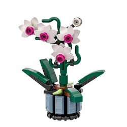 Moc Mikro Orchidee mit Vase Bausteine 10311 DIY Modell Pflanze Blume für Home Office Dekor Ziegel setzt Spielzeug Geschenk Kinder Erwachsene