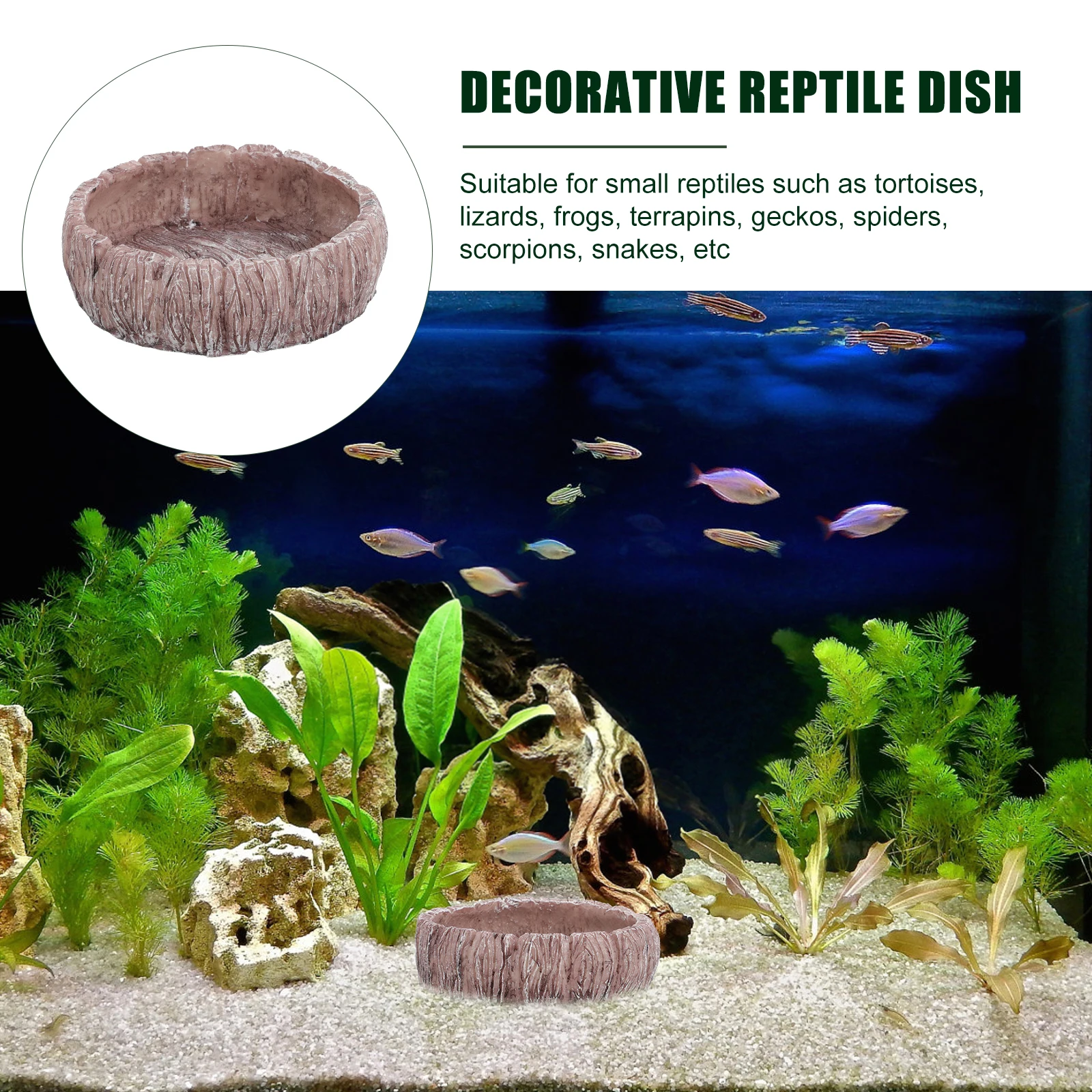

Long Serving Time Reptile Water Bowl Resin Food Dish Feeder Tray Exquisite Design Safe Small Reptiles Reptile Food Dish