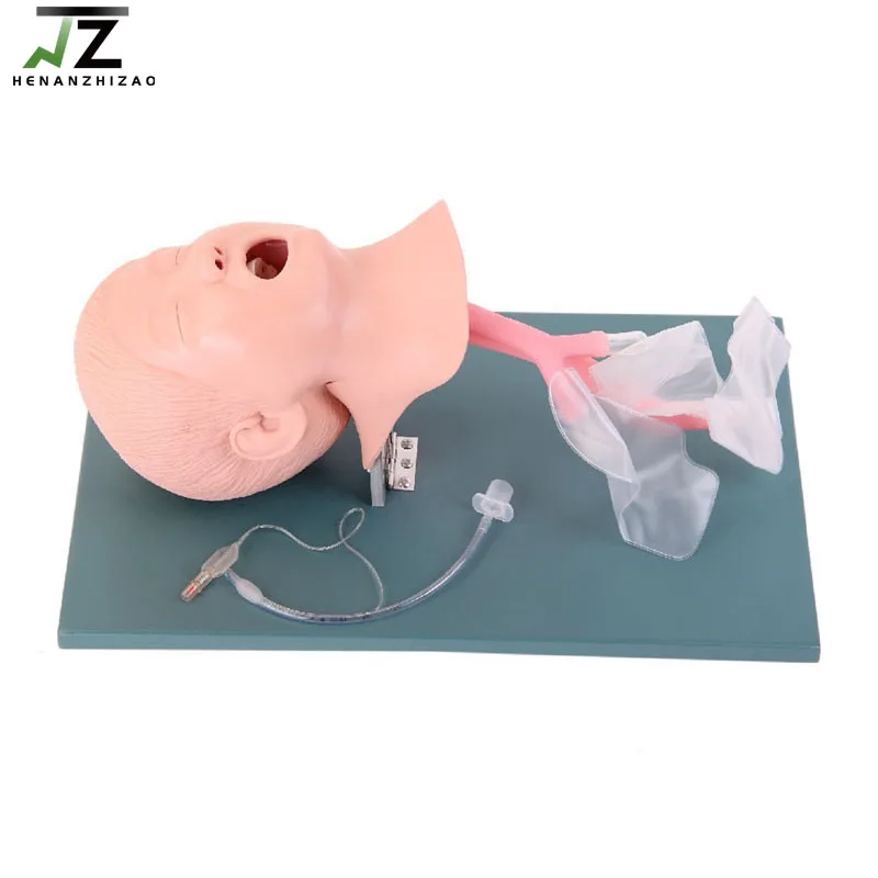 Medical Training Human Airway Child Trachea Intubation Model