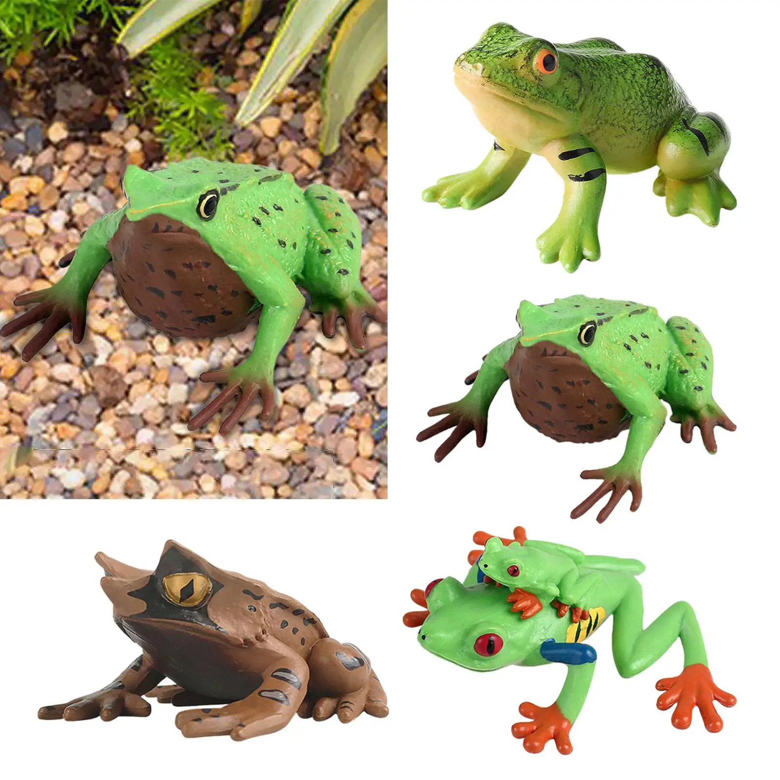 Frog Figurine Educational Collection Animal Model Toy for Party Decoration Bath Toys Party Favors Micro Landscape Teaching Aids