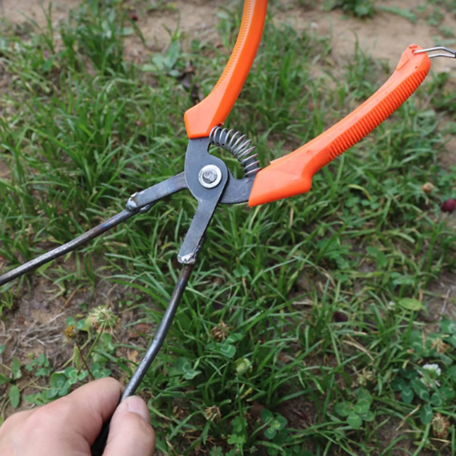

Sweet Potato Seedling Planter Labor Saving Seedling Transplant Pliers Vegetable Planting Tongs Easy to Clean Transplanting Tool