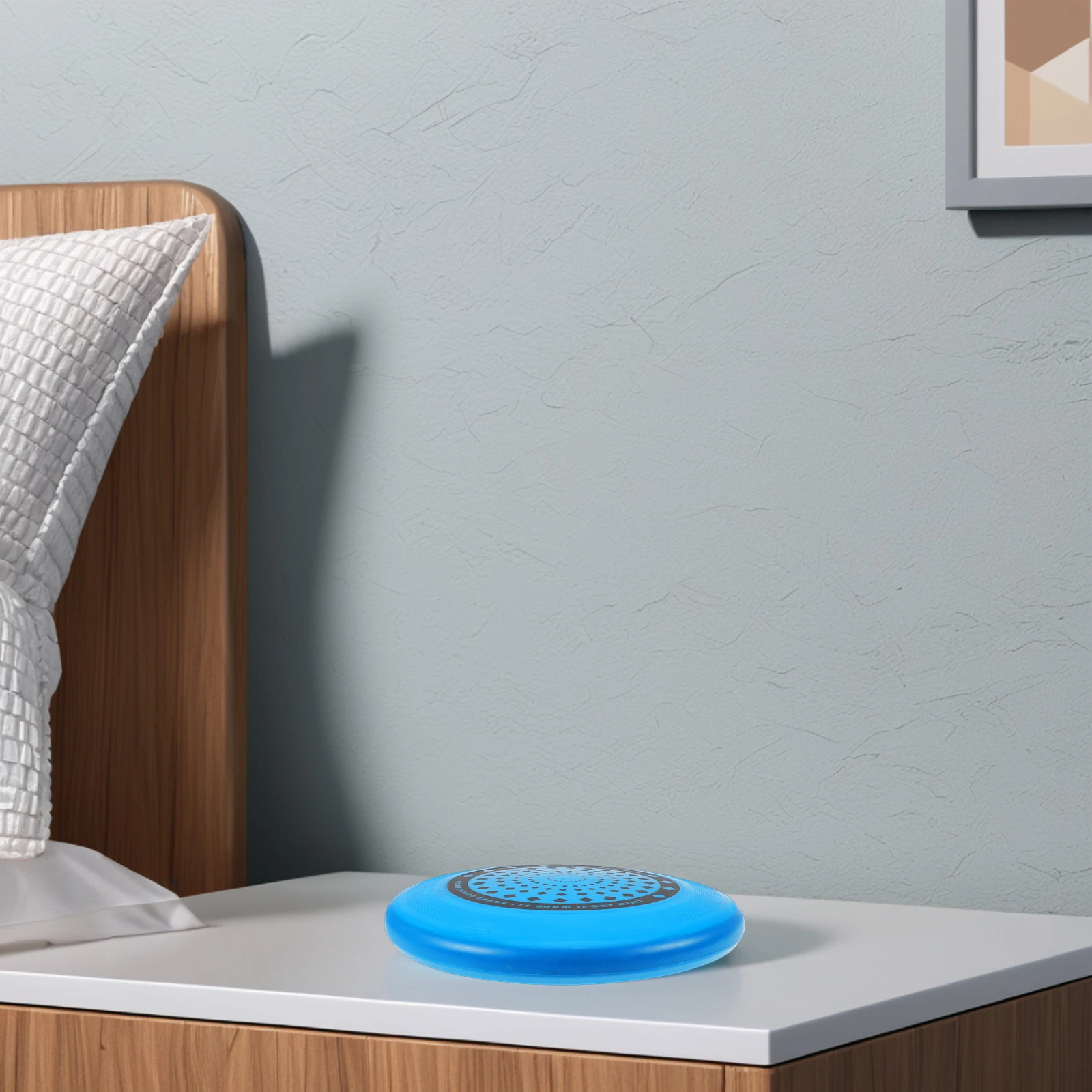 

175G Pe Competitive Flying Disc Set Lightweight Durable Outdoor Beach Camping Sport Family Fun Pool Playground