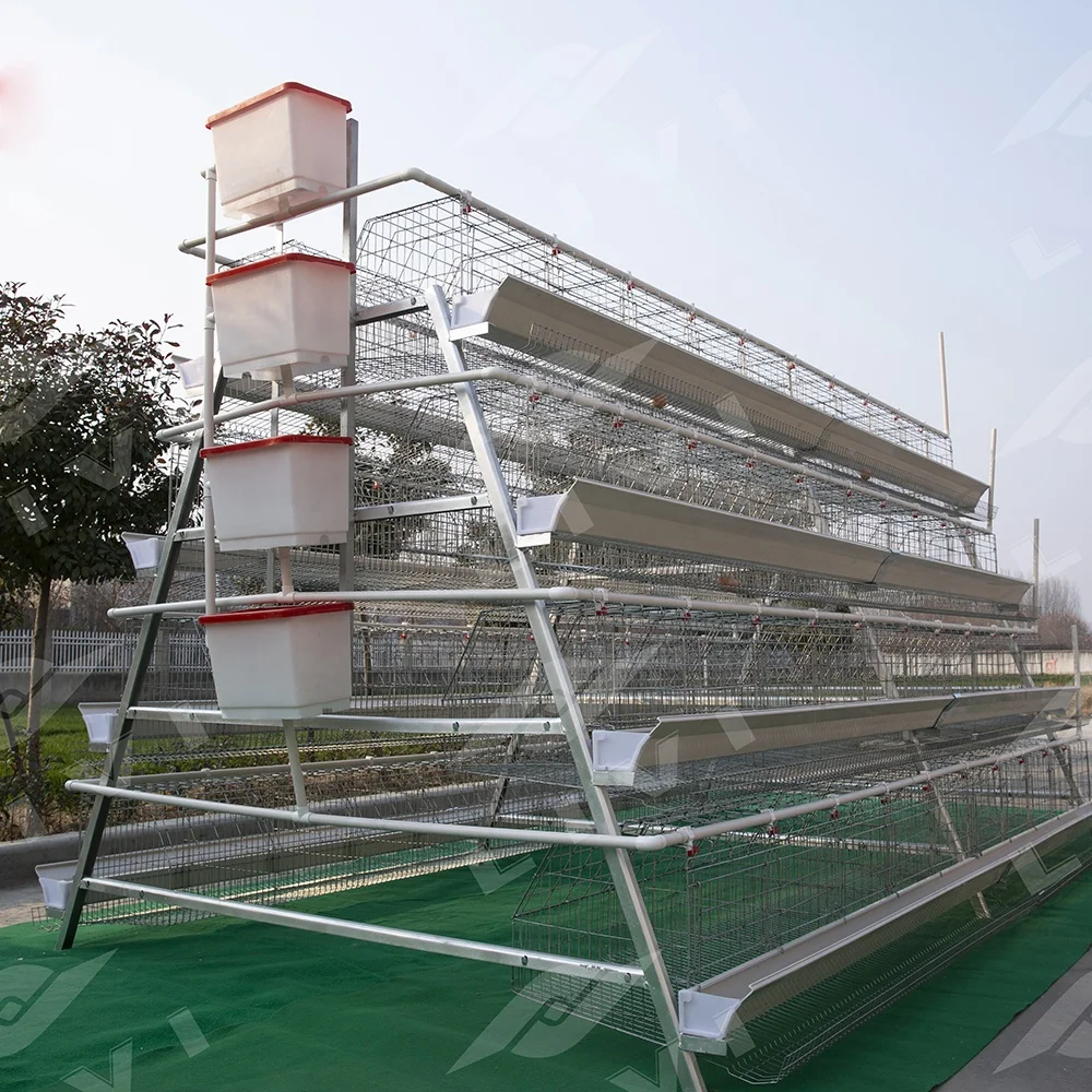 

20000 Hot Sale 96 / 160 Birds 3 / 4 Layers Poultry Chicken Feeding Cages System