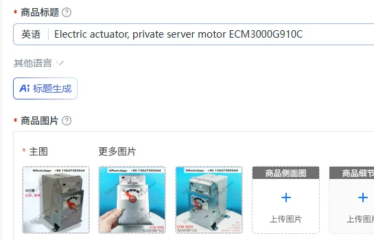 Electric actuator, private server motor ECM3000G910C