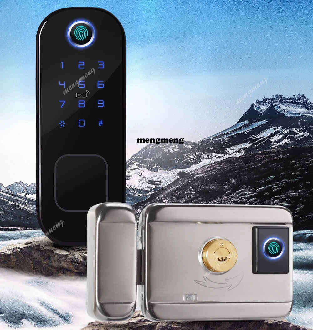 

Graffiti smart bull head lock exterior door lock wifi remote unlocking management stainless steel rental door lock