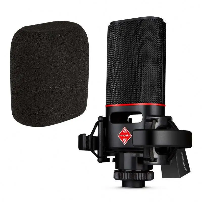 FANGDONG Professional Studio Microphone 48V Cardioid XLR Shock Mount for Broadcasting Karaoke & Gaming
