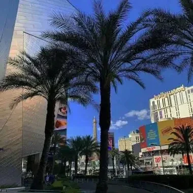 

Plug-In Car Seat Gap Filler Elastic EVA Car Seat Crevice Filling Strip Blocker Prevent Dropping For Jaguar E-PACE F-PACE F-TYPE