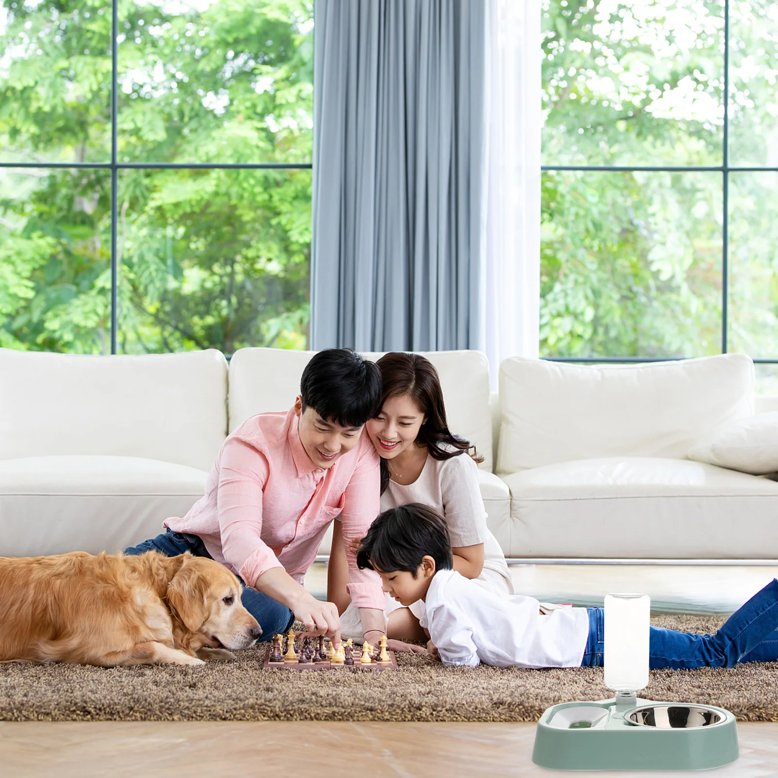 

Pet Water Feeder Dual Use Food Grade Plastic Transparent Bucket Easy Clean Automatic Pet Feeder Water Dispenser Bowls for Small