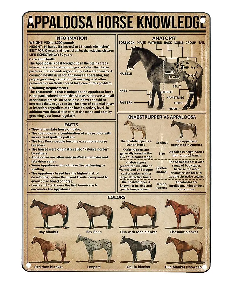 

Veidsuh Appaloosa Horse Knowledge Metal Tin Sign Metal Poster Coffee Shop Bar Club Living Room School Wall Personalized Home Art