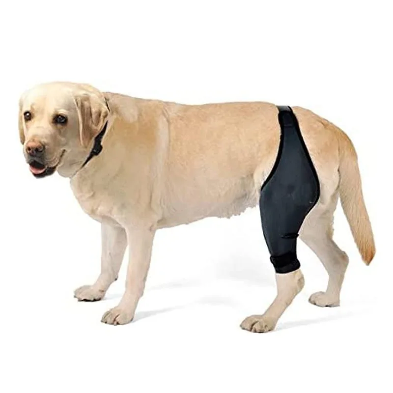 Soporte ajustable para pierna de perro, soporte para recuperación de lesiones de rodilla, estabilizador de pierna canina transpirable, envoltura de férula