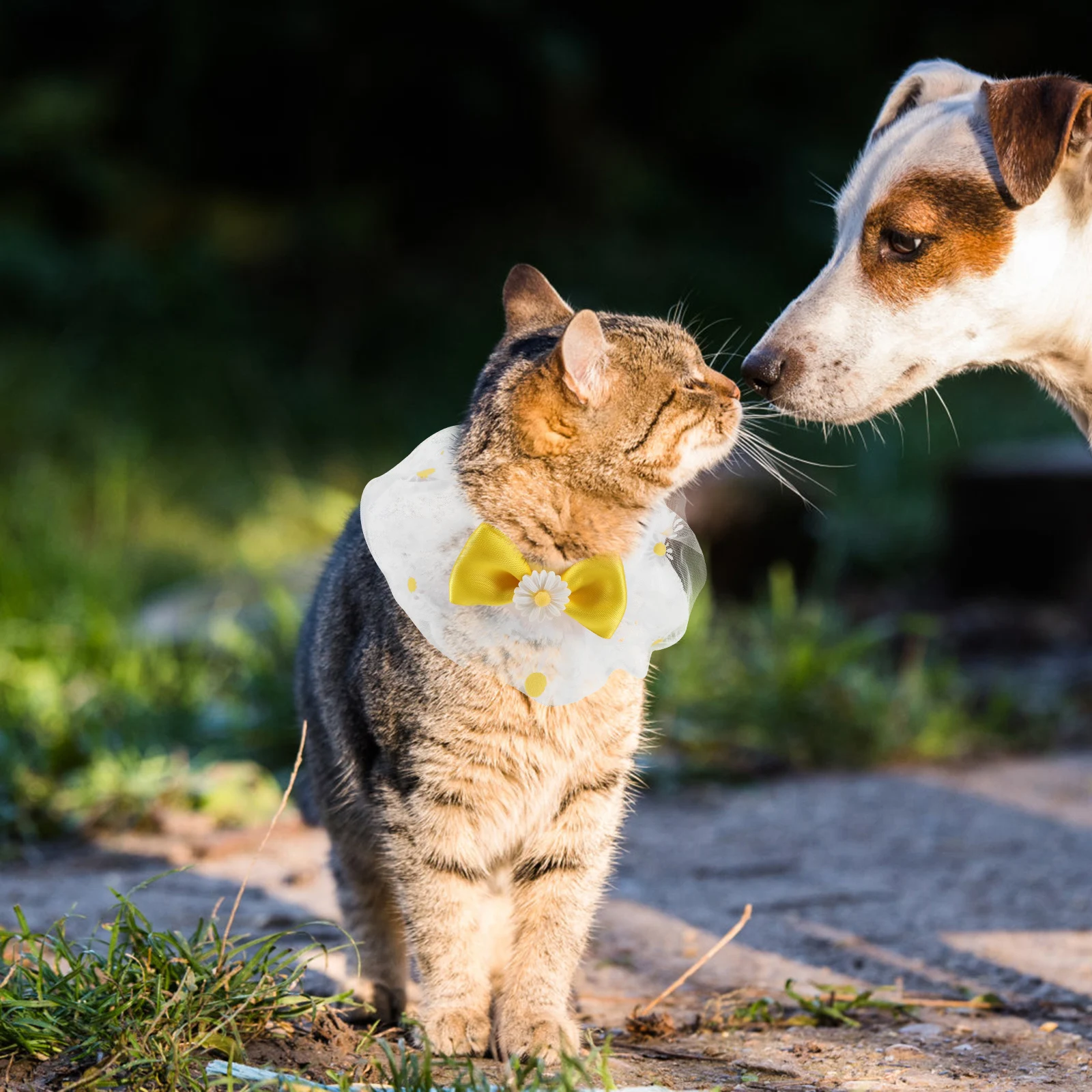 

Pet Neck Decor Adjustable Dog Collar Lace Cats Decorative Scarf Kitten Reusable Collar Portable Pet Accessory Dog Cat