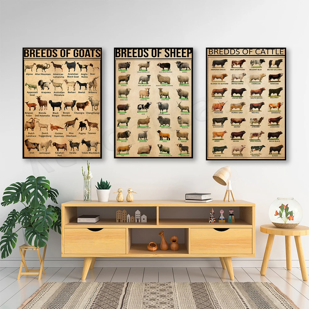 Sheep Breeds Sheep Types, Goat Breeds Goat Types, Dairy Cow Breeds Poster, Dairy Cow Types, Barn Poster, Pasture Breeding