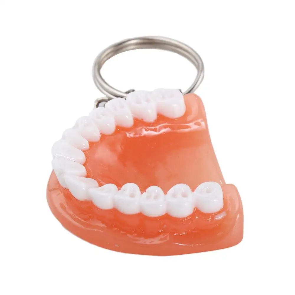 Dental Decoration Dental Accessories Teeth Shape Resin Upper Jaw Denture Key Chain Teeth Keyring Teeth Pendant Tooth Key Chain