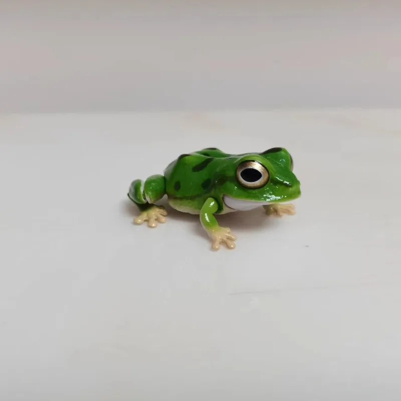 Enciclopédia biológica gashapon brinquedos árvore japonesa sapo nordeste chuva sapo simulado modelo animal móvel ornamentos brinquedos