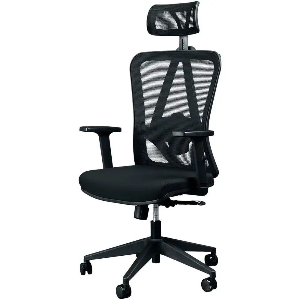 Ergonomic Mesh Rolling Office Chair for Comfort and Gaming (Leather/Mesh)