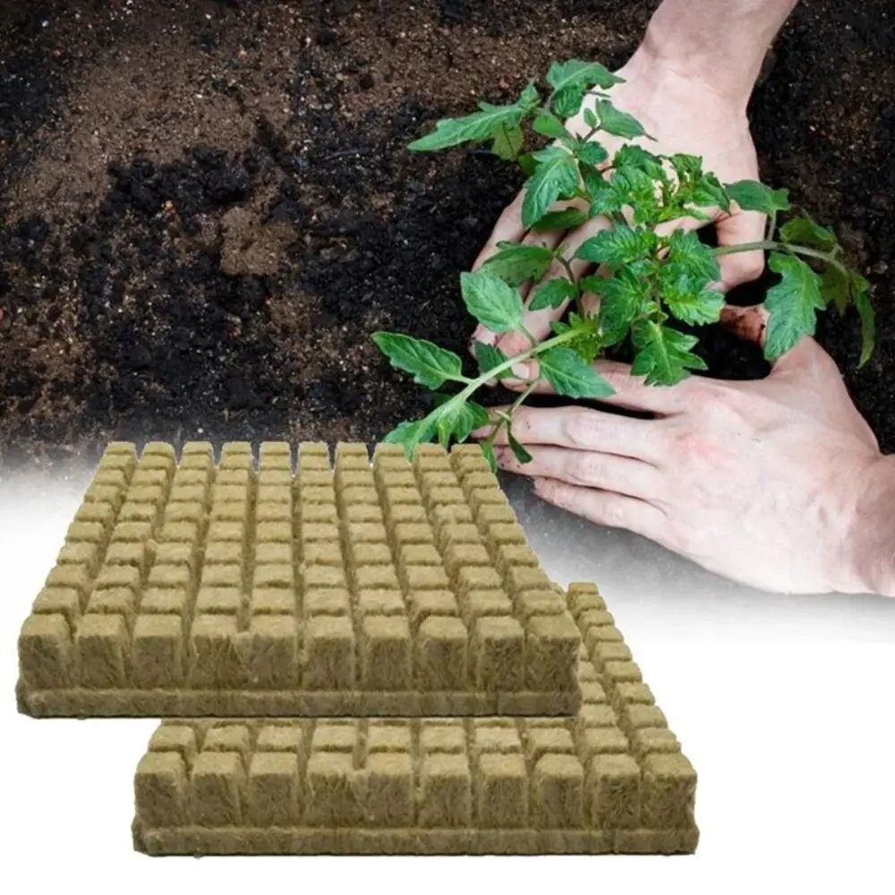 36/50Pcs Seed Starter Grow Cubes Stonewool Water Cultivation Tool Rock Wool Starter Plugs Rock Wool Single Hole