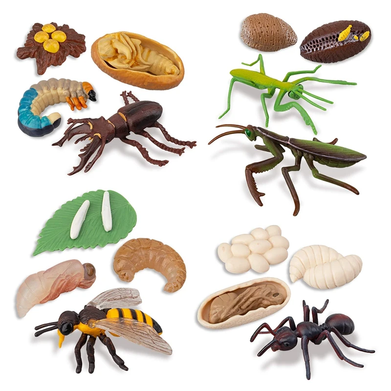 16 PCS Life Cycle Figures Of Stag Beetle,Honey Bee,Mantis,Ant Early Education Animal Figures Model,Educational Kids Toys