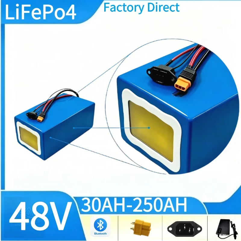 Lithium Iron Phosphate Energy Storage Module 48V Capacity Range 30Ah up to 250Ah, Onboard Intelligent Control Module for Medium