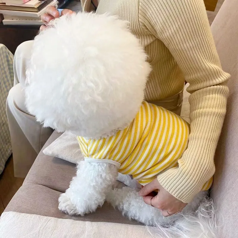 New Pet Dog Striped Sweatshirt Dog Clothes for Small Dogs Puppy Summer Clothes Soft Cat Dog Vest Bichon Chihuahua Dog Costumes