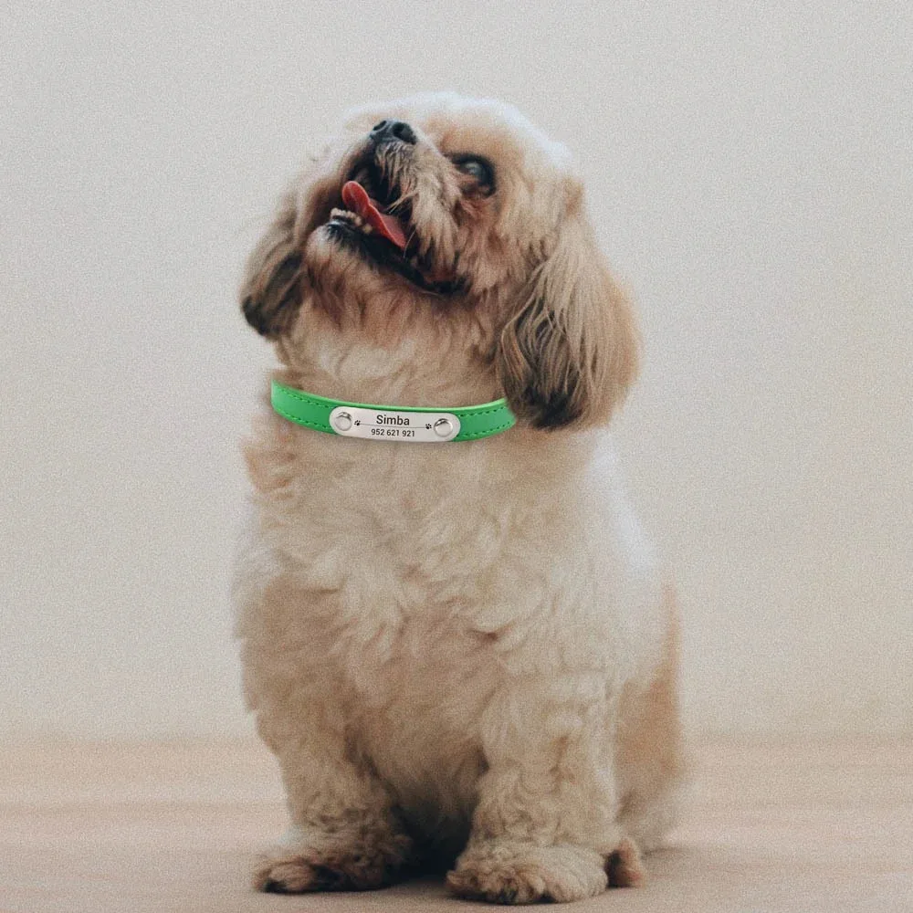 Custom Pet Name & ID Anti-lost Solid PU Leather Collar Personalized Text Dog Collar For Small Medium Large Dog Puppy Cat Collar