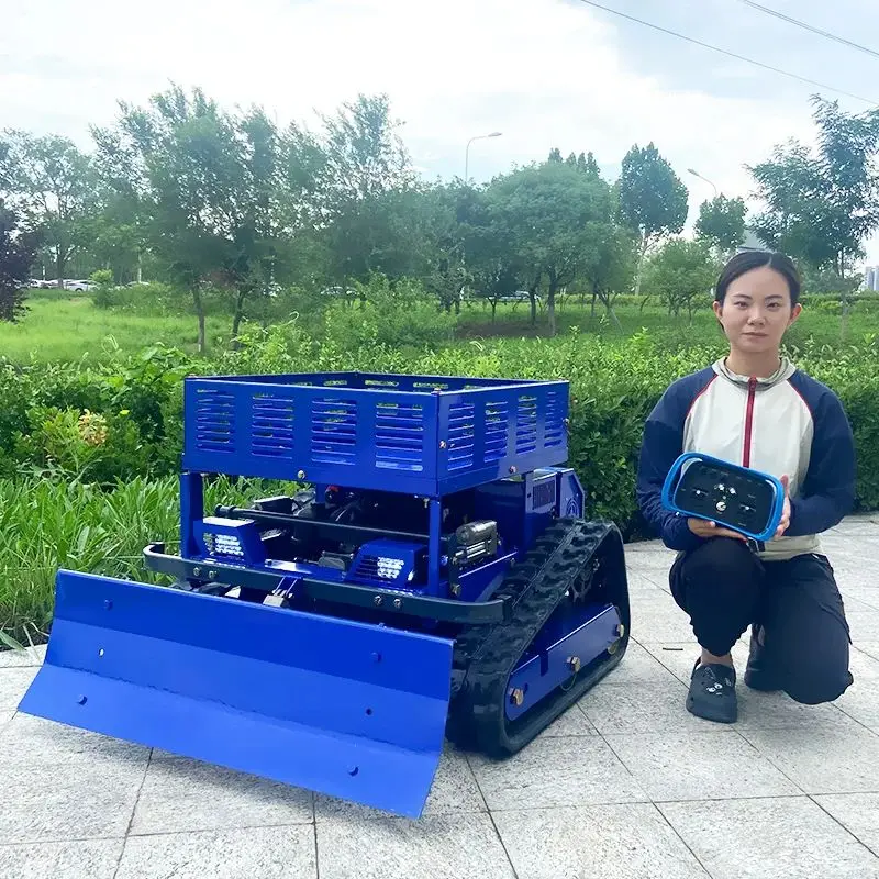 Customized 224CC Mo… - image