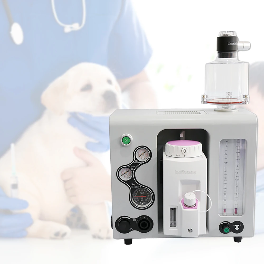 Veterinary anaesthesia machine with anaesthesia accessories