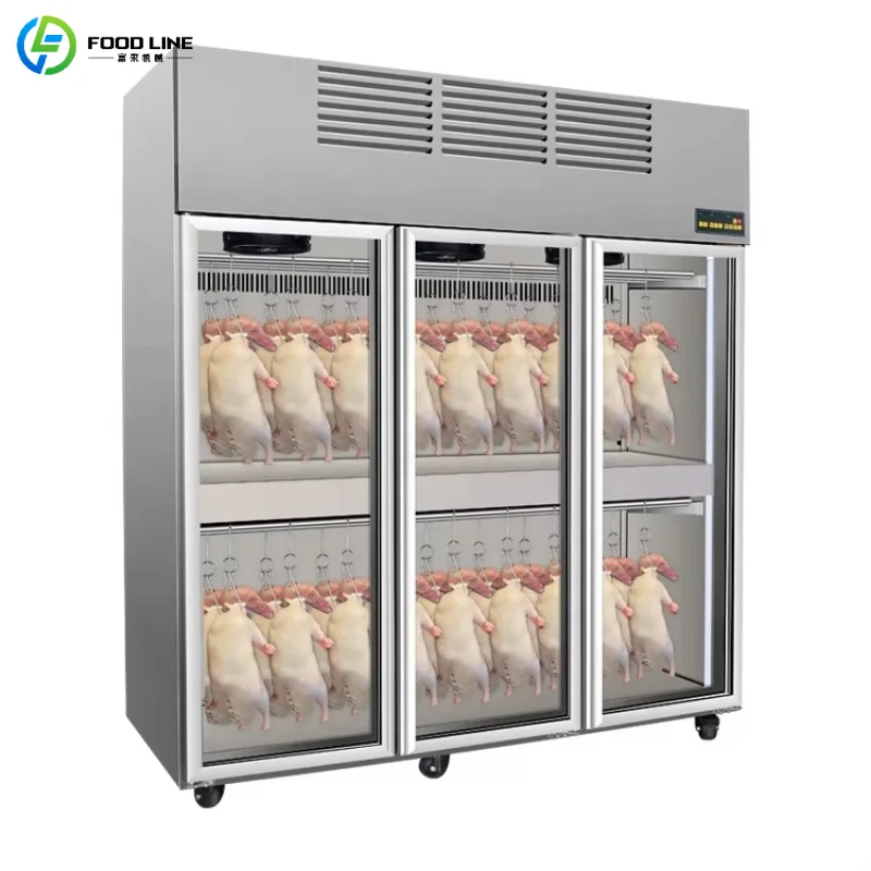 

Customized Commercial Dry Aging Cabinet for Butcher Large Capacity Dry Ager Refrigerator Stainless Steel Beef Curing Fridge
