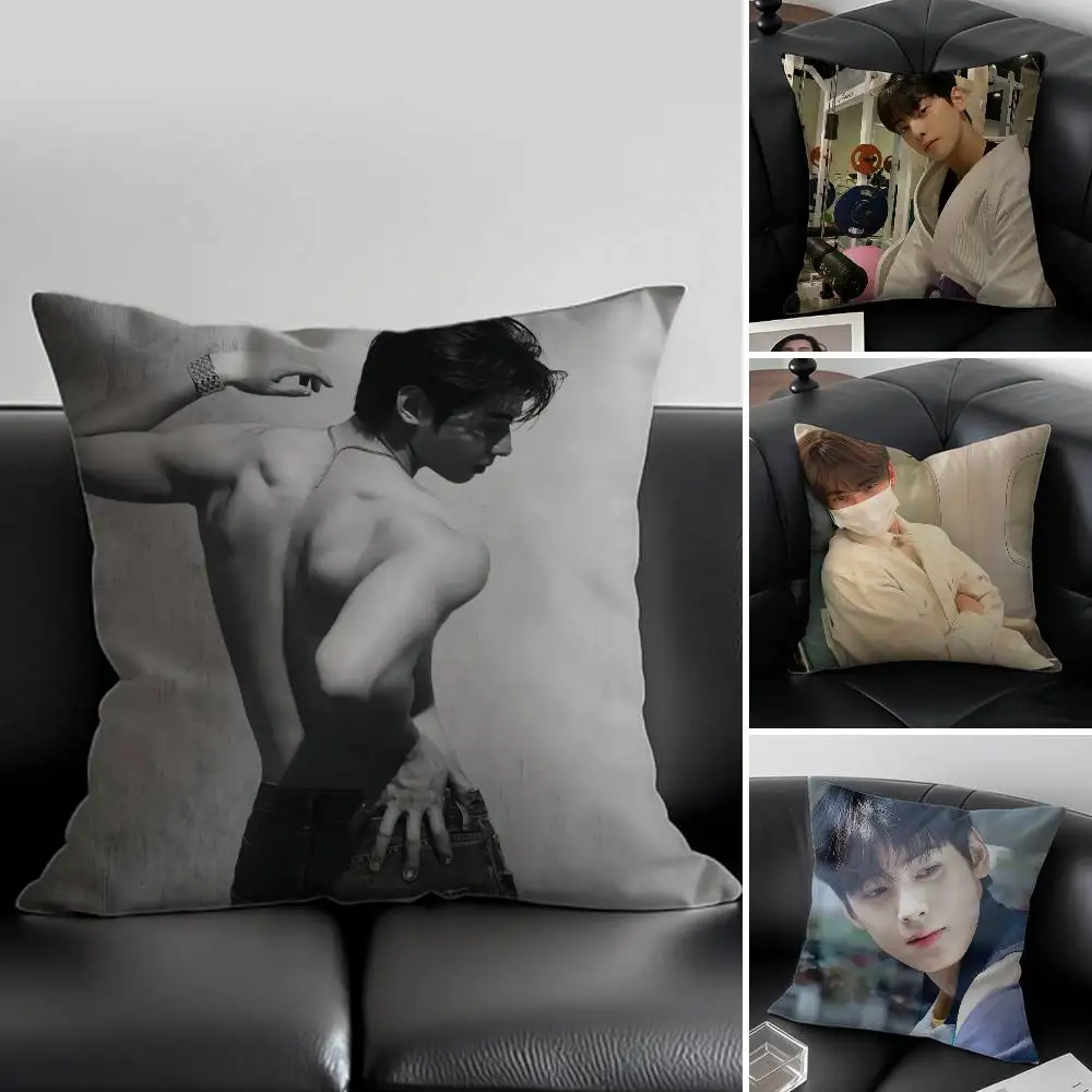 Kpop Singer Cha E-Eun W-Woo Pillow Case Anti-dustmite Invisible zipper Sofa Bed