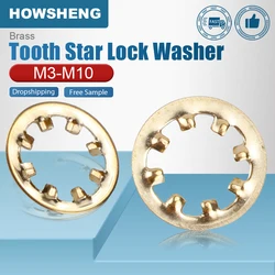 HOWSHENG 20-50pcs Brass Internal Tooth Star Lock Washer M3 M4 M6 M8 M10 Copper Serrated Gasket