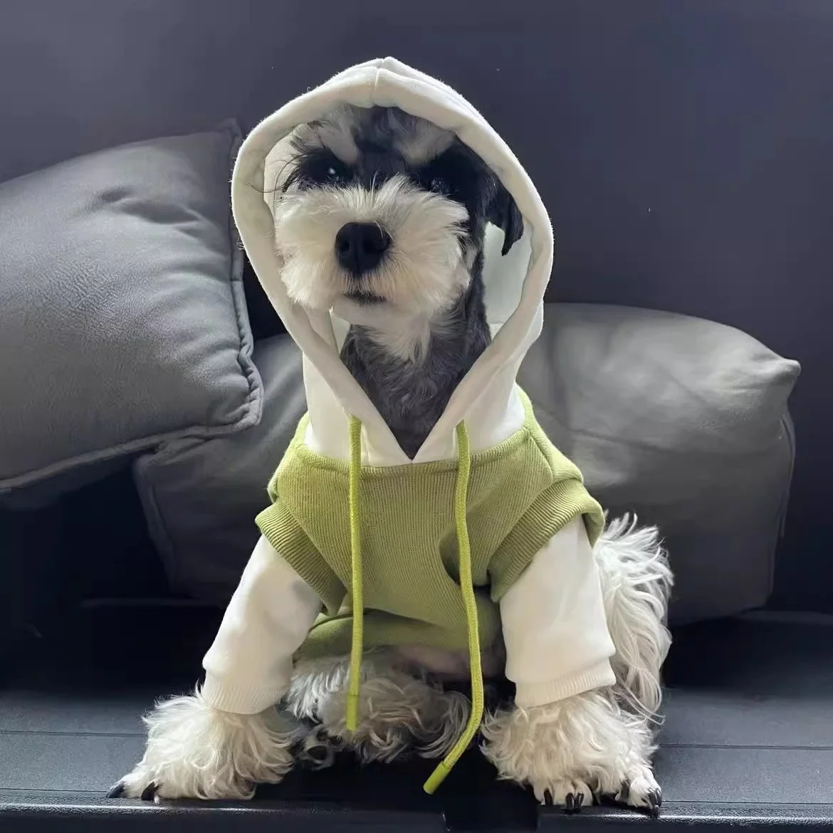 Small Dog Hoodie Two Tone Patchwork Puppy Sweatshirt Autumn Winter Pet Clothes for Small Breed Dogs