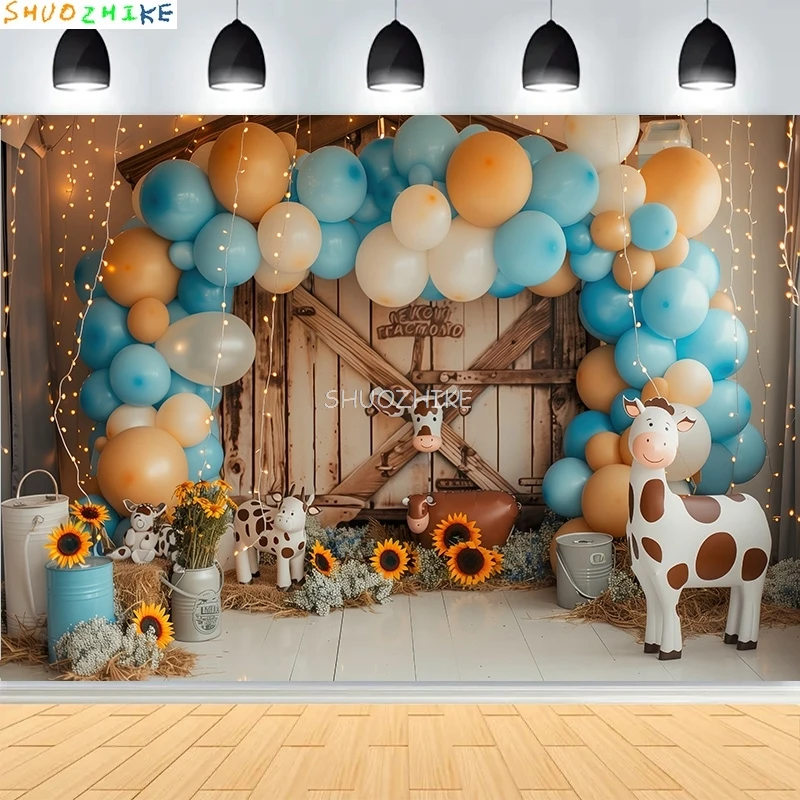

Rainbow Balloons Flowers Birthday Party Background Newborn Boat Circus Stars Beach Scene Cloud Theme Photography Backdrops AT-08