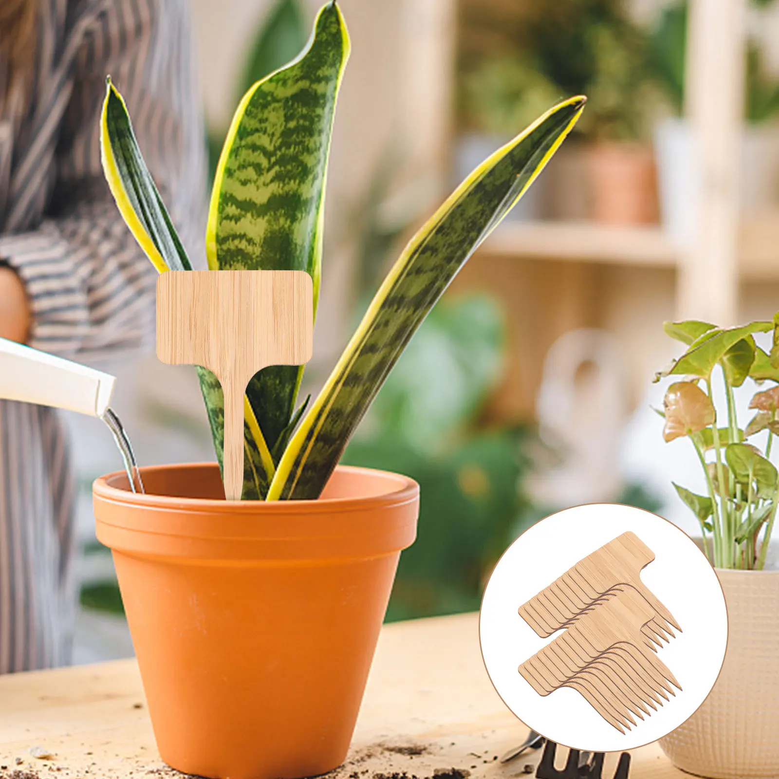 

25Pcs Bamboo Plant Labels T Shape Garden Plant Markers for Potted Plants Succulent Flower Bed Identification Garden