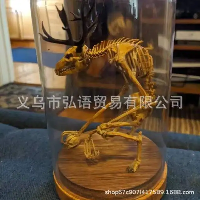 

New resin crafts desktop ornaments sheep skull specimen ornaments