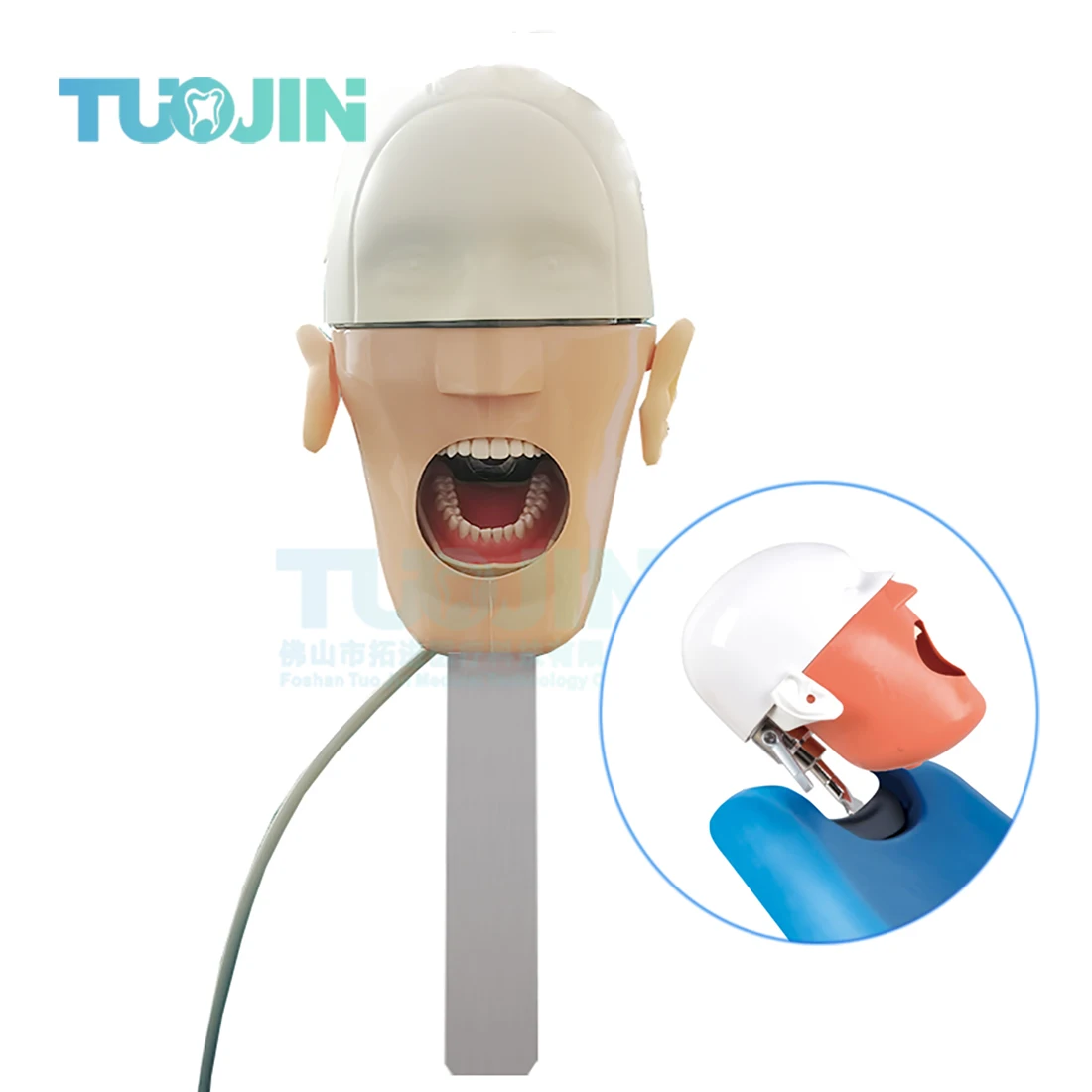 Dental Simulator Phantom Head Model Dental for Teaching Practice Training 360-degree Adjustment Manikin Mounting Dentist Model
