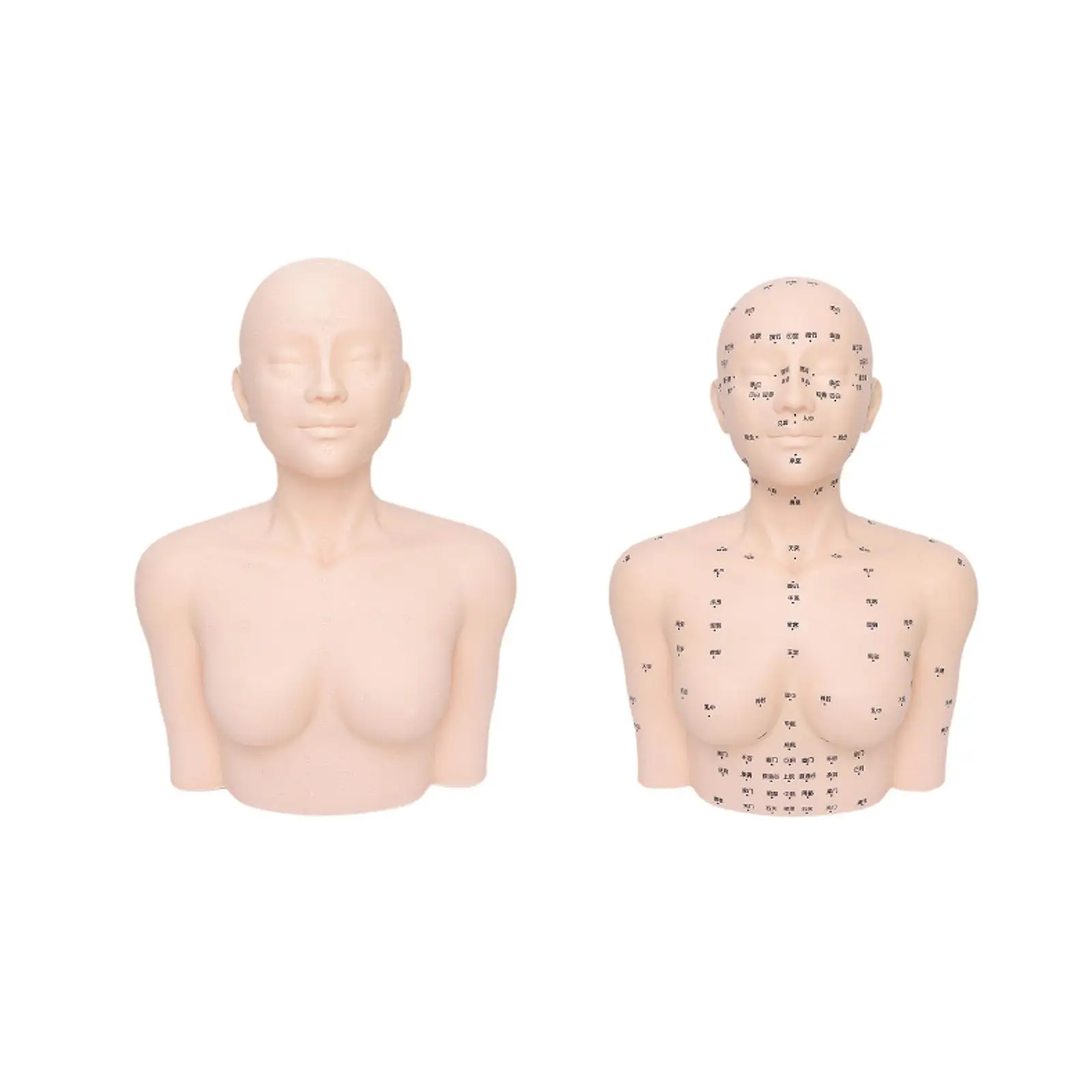 

Massage Mannequin Head Shoulder Massage Soft with Acupoint Props Manikin Massage Practice Tool for SPA Learning Massaging