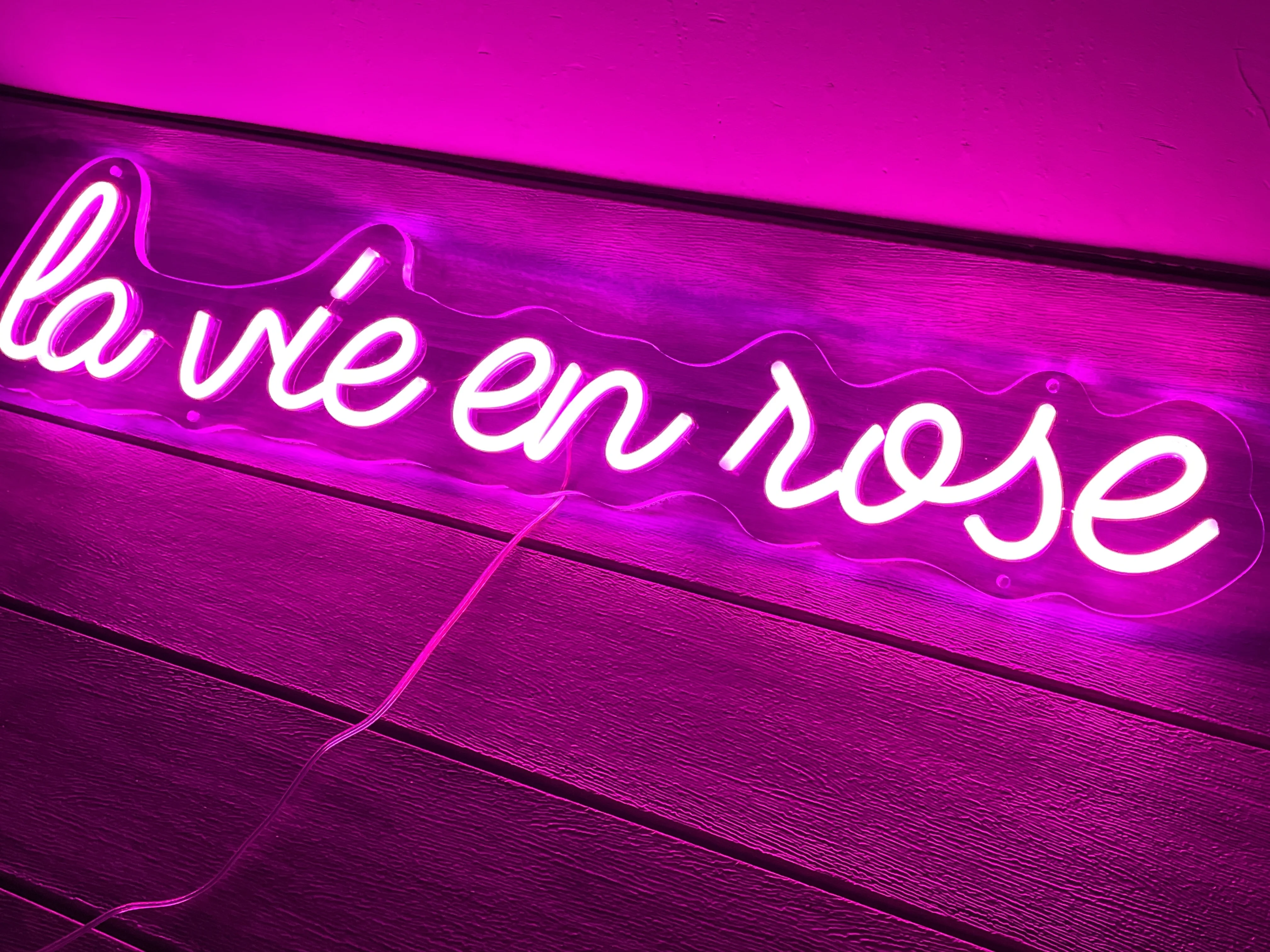 

Custom la vie en rose Led Flex Cute Neon Sign Light Decor Indoor Wall Hanging for Home Room Birthday Party Decoration