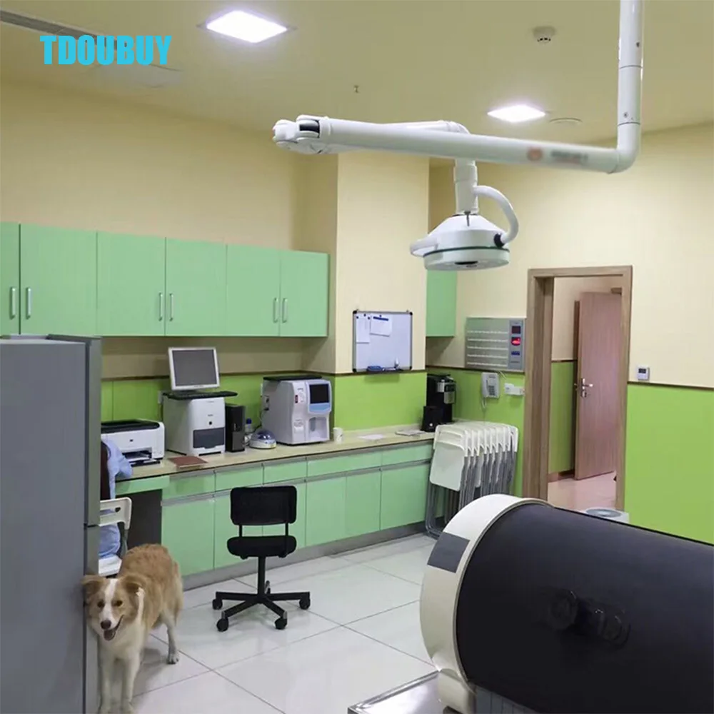 High Quality LED 12 Holes Hanging Surgical Lamp Is Used In Pet Hospitals, Beauty Hospitals, Tattoo Parlors, Dental Clinics