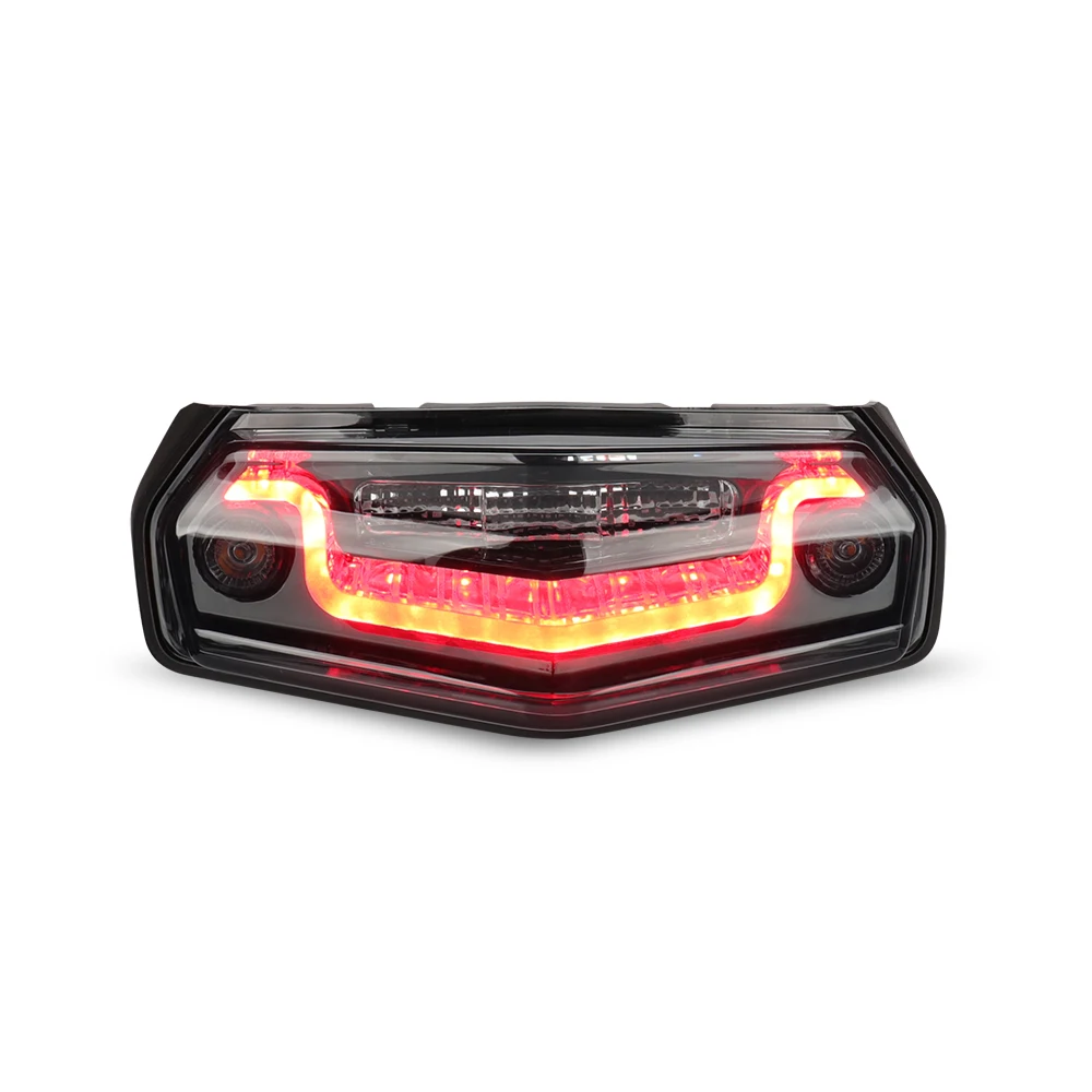 700 2024/2025 model integrated smoked LED taillights with brake lights