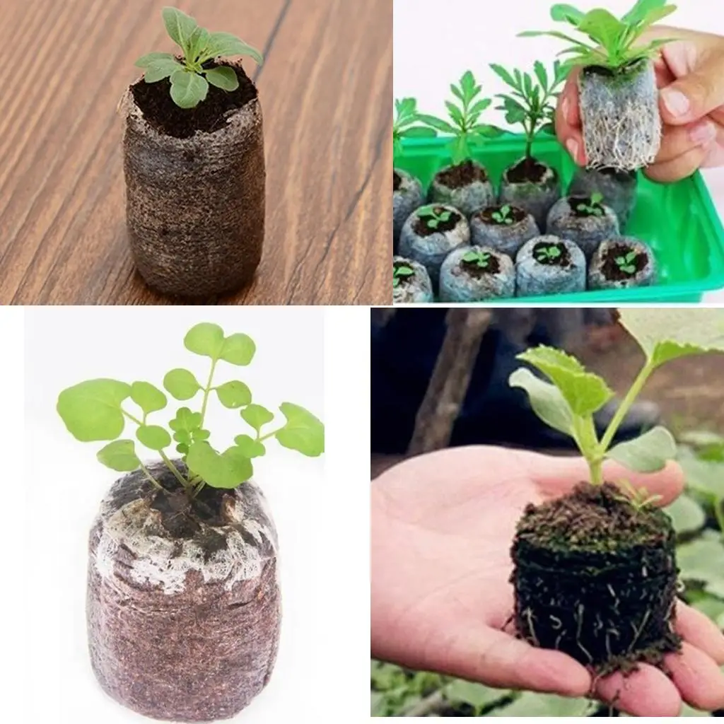 10 Pcs 30mm Pellets Seed Starting Plugs Pallet Seedling Soil Block Seeds Starter Professional Tool Easy to Operate