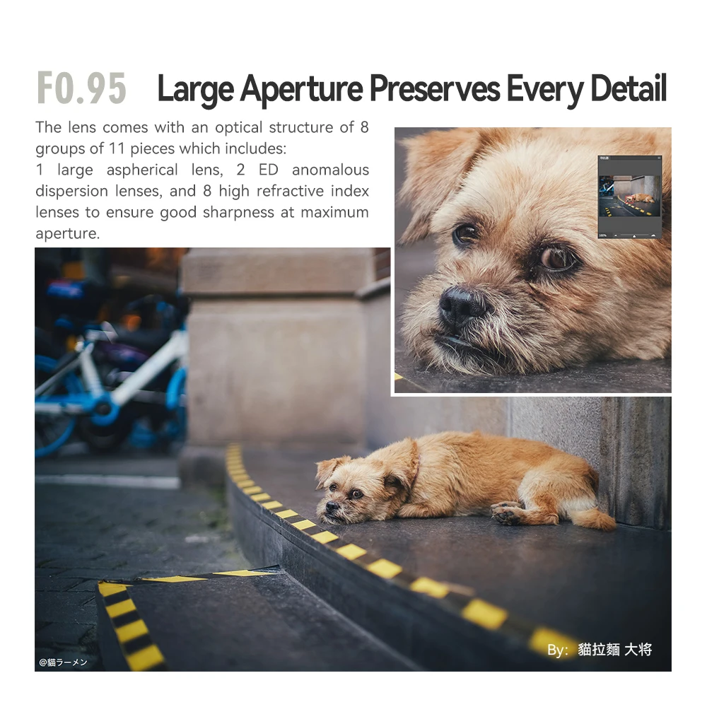 عدسة TTAartisan 50 مللي متر F0.95 كاملة الشهرة للتركيز اليدوي MF لكاميرات Leica M-Mount مثل Leica M M240 M3 M6 M8 M9 M9p M10 مع محول